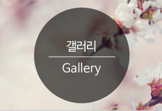갤러리
